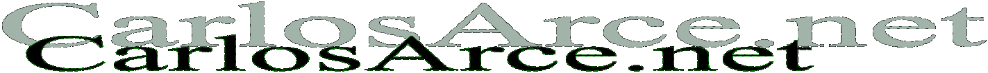 CarlosArce.net
